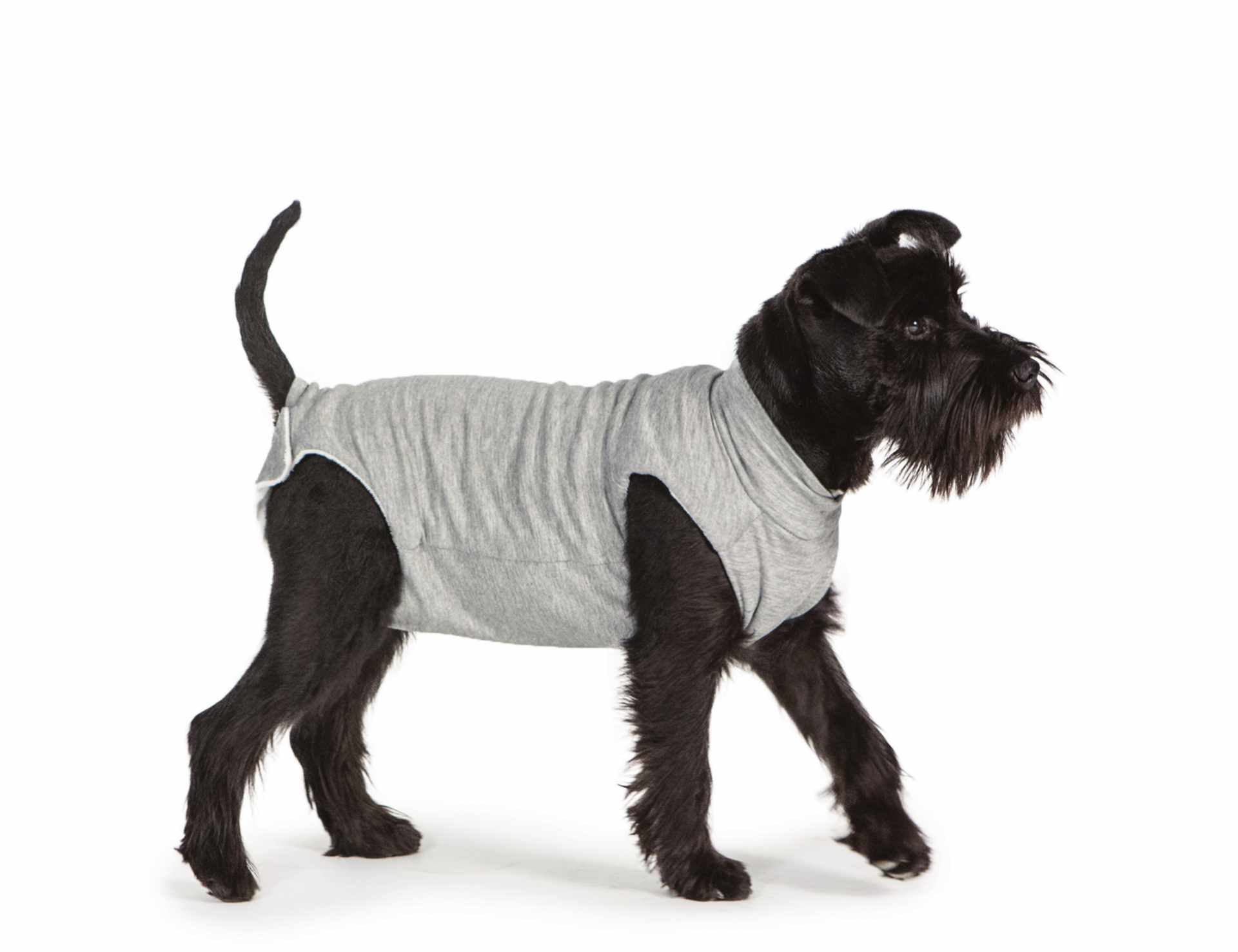 Fashion Dog Cura Pets - Body Post Operatorio Pancia Coperta Tg55 Fashion Dog Cura Pets - Body Post Operatorio Pancia Coperta Tg55